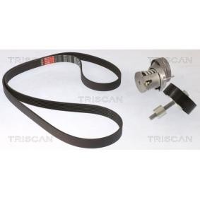 Achetez des Jeu de courroies trapézoïdales à nervures TRISCAN 8642 29048 à prix pour 129,52 €