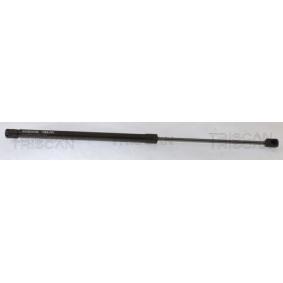 Achetez des Vérin de coffre TRISCAN 8710 292070 à prix pour 19,41 €