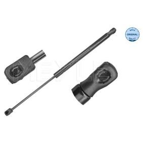 Heckklappendämpfer 16-40 910 0041 für RENAULT