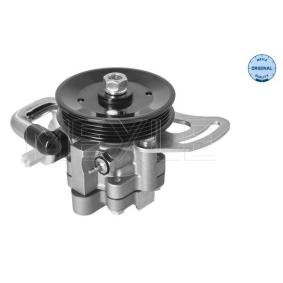 Servopumpe 29-14 631 0007