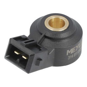 Klopfsensor 314 811 0001