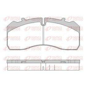 Comprar Juego de pastillas de freno de REMSA JCA 1846.00 a bajo precio de 106,38 €