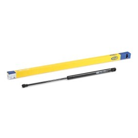 Compre Amortecedor da mala da MAGNETI MARELLI 430719017900 a um preço baixo por 14,92 €