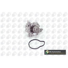 Achetez des Pompe à eau BGA CP1404 à prix pour 109,62 €