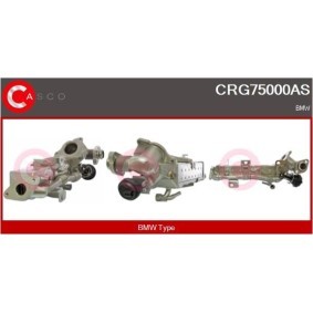 Kjøp Servopumpe av CASCO CSP67102AS til den lave prisen 4013,33 NOK