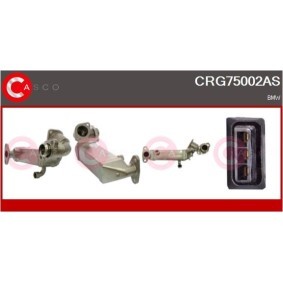 Kjøp Servopumpe av CASCO CSP67103AS til den lave prisen 4288,63 NOK