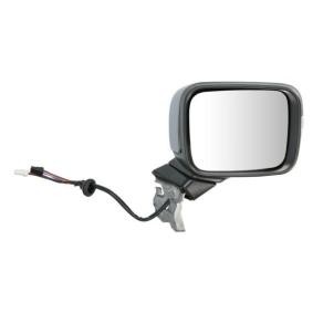 Comprar Espejo retrovisor de BLIC 5402-55-0625362P a bajo precio de 223,34 €