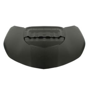 Motorhaube 6803-00-1196280KP