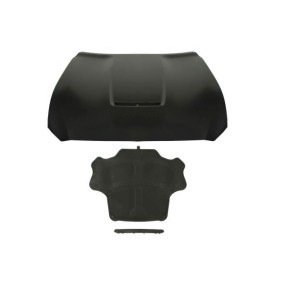 Motorhaube 6803-00-2568281AP