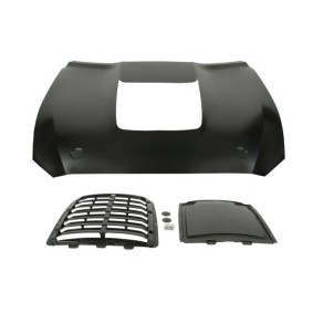 Motorhaube 6803-00-2589282AP