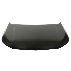 Motorhaube 6803-00-5037280P