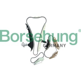 Steuerkettensatz von Borsehung B10223
