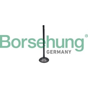 Comprar Válvula de admisión de Borsehung B10323 a bajo precio de 15,59 €