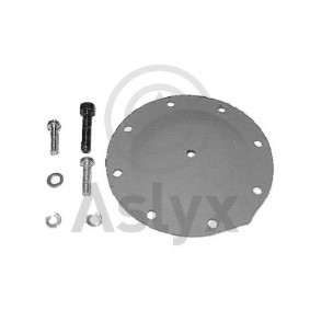 Achetez des Kit de réparation, pompe à vide (freinage) Aslyx AS-200334 à prix pour 11,65 €