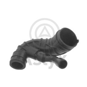 PEUGEOT Ansaugschlauch, Luftfilter von Aslyx
