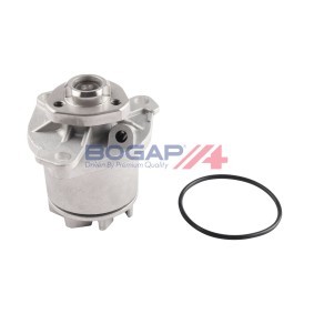 Achetez des Pompe à eau BOGAP A4234120 à prix pour 35,69 €