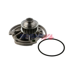 Achetez des Pompe à eau BOGAP A4234131 à prix pour 53,10 €