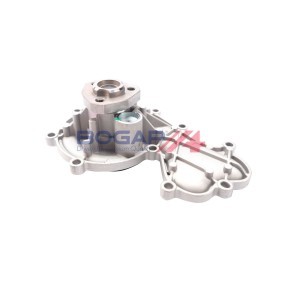 Achetez des Pompe à eau BOGAP A4234135 à prix pour 37,50 €