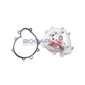 Achetez des Pompe à eau BOGAP A4234138 à prix pour 69,64 €