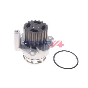 Achetez des Pompe à eau BOGAP A4234157 à prix pour 34,21 €