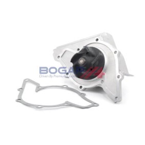 Achetez des Pompe à eau BOGAP A4234165 à prix pour 59,31 €
