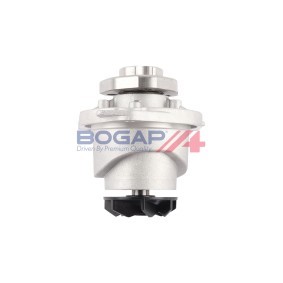Achetez des Pompe à eau BOGAP A4234171 à prix pour 29,39 €