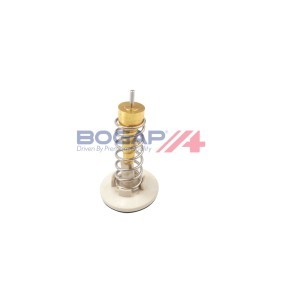 Comprar Termostato, refrigerante de BOGAP A4245103 a bajo precio de 19,85 €