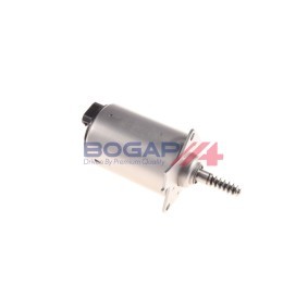 Compre Elemento ajuste, veio excêntricos (curso variável válvulas) da BOGAP B1350104 a um preço baixo por 99,79 €