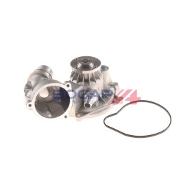 Achetez des Pompe à eau BOGAP B4234115 à prix pour 91,33 €