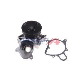 Köp Vattenpump av BOGAP B4234132 till det låga priset 646,33 kr