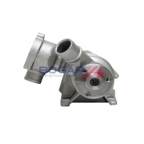Achetez des Pompe à eau BOGAP C4234137 à prix pour 113,97 €