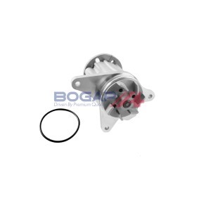 Achetez des Pompe à eau BOGAP E4234106 à prix pour 77,52 €
