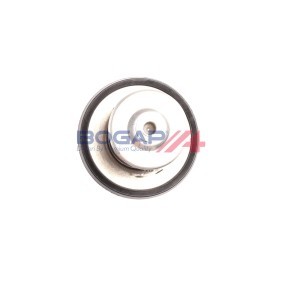 Achetez des Thermostat d'eau BOGAP V4245102 à prix pour 17,29 €