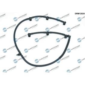 Schlauch, Leckkraftstoff DRM12024