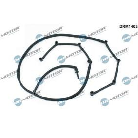 Kraftstoffverteiler von DR.MOTOR AUTOMOTIVE für Range Rover III (L322) günstig online kaufen