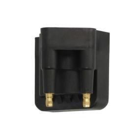 Zündspule ENT960069