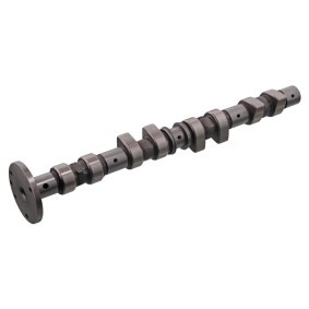 Acquista Albero a camme da FEBI BILSTEIN online per LT 28-46 II Camion pianale / Telaio (2DC, 2DF, 2DG, 2DL, 2DM) a prezzi moderati
