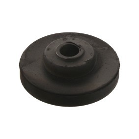 Lagerung, Kühler 04531 MAN von FEBI BILSTEIN
