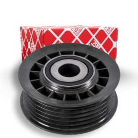 Compre Polia de desvio / de guia, correia trapezoidal estriada da FEBI BILSTEIN 05478 a um preço baixo por 19,00 €
