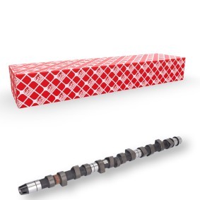Acquista Albero a camme da FEBI BILSTEIN 05519 a buon mercato per soli 151,86 €