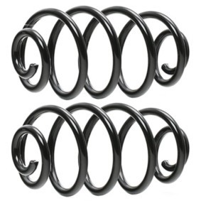 Osta Jousi (auton jousitus) RIDEX:llä 188C2006 edullisesti hintaan 56,18 €