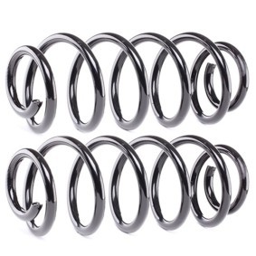 Osta Jousi (auton jousitus) RIDEX:llä 188C2019 edullisesti hintaan 62,14 €