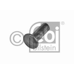 Niete, Trommelbremsbelag von FEBI BILSTEIN