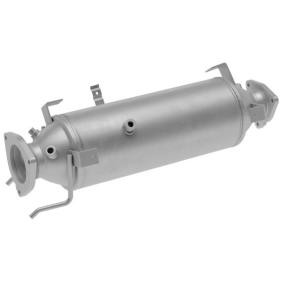 Partikelfilter (DPF) 8LH 366 081-571