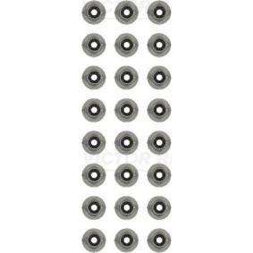 Comprar Juego de juntas, vástago de válvula de REINZ 12-13246-02 a bajo precio de 30,20 €