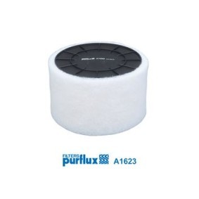 Kjøp Luftfilter av PURFLUX A1623 til den lave prisen 191,78 NOK