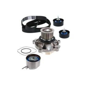 Achetez des Kit de distribution + pompe à eau de chez METELLI en ligne pour VOYAGER IV (RG, RS) à prix modérés