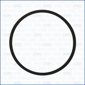 Acquista Guarnizione, Pompa depressione da AJUSA 16094500 a buon mercato per soli 3,28 €