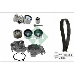 Achetez des Kit de distribution + pompe à eau INA 530 0563 30 à prix pour 309,73 €