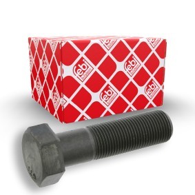Achetez des Boulon de poulie FEBI BILSTEIN 17230 à prix pour 5,59 €